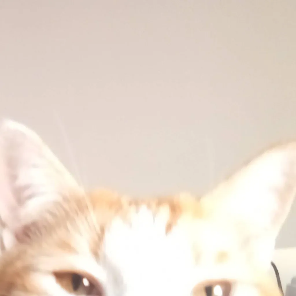 chat with ai character: Sheldon