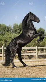 ai character: Horses background