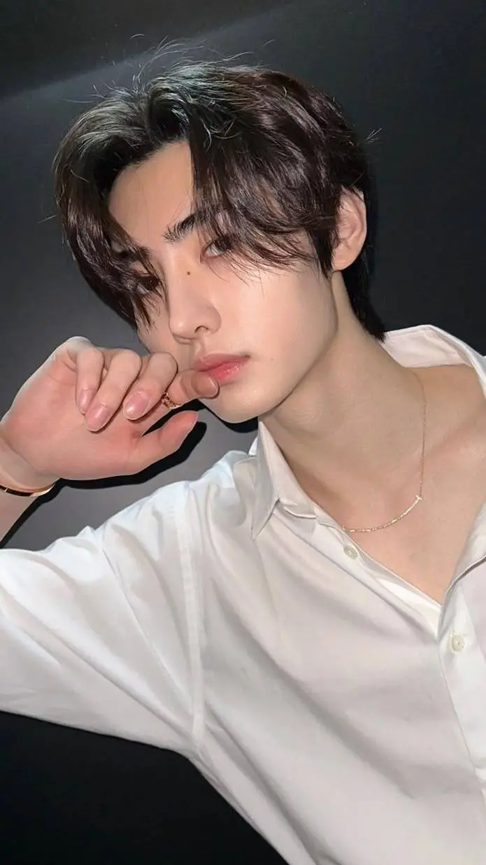 ai character: Sunghoon background