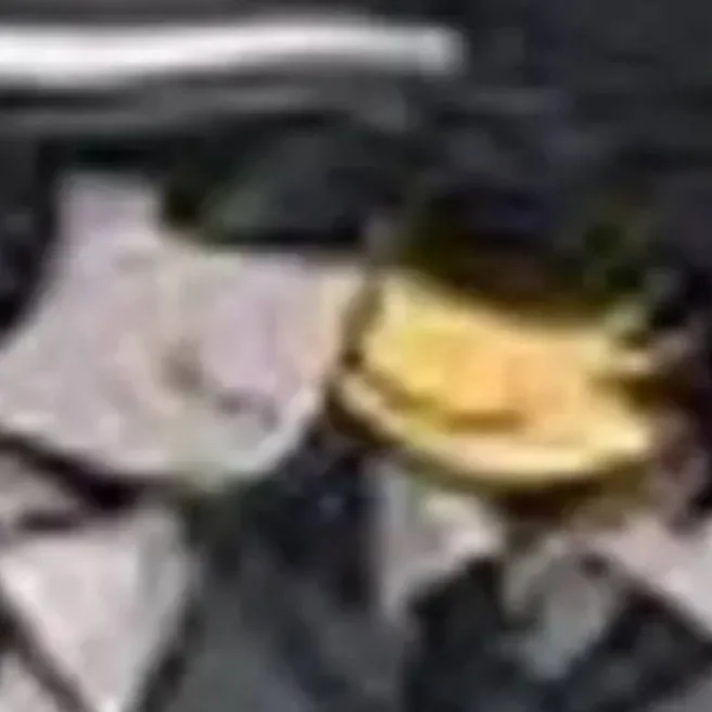 chat with ai character: |•doublefedora•|