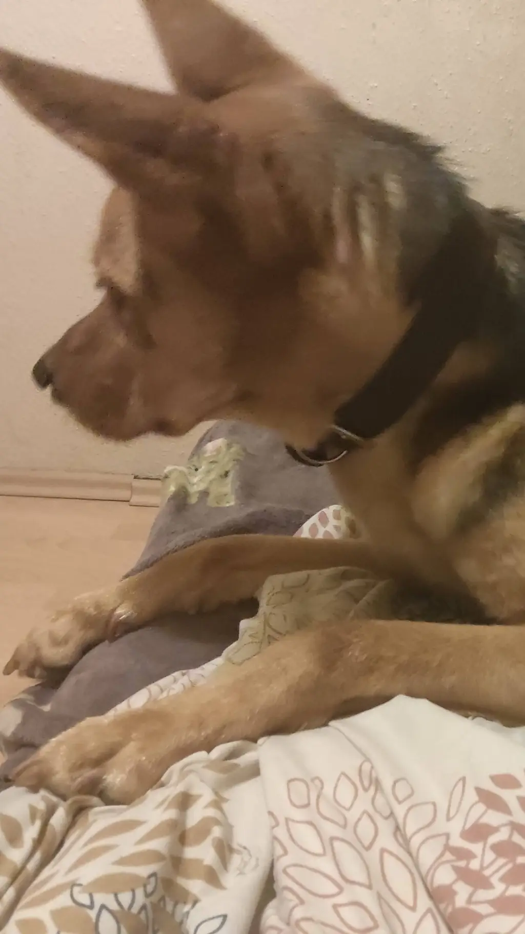 ai character: spicy😨 background