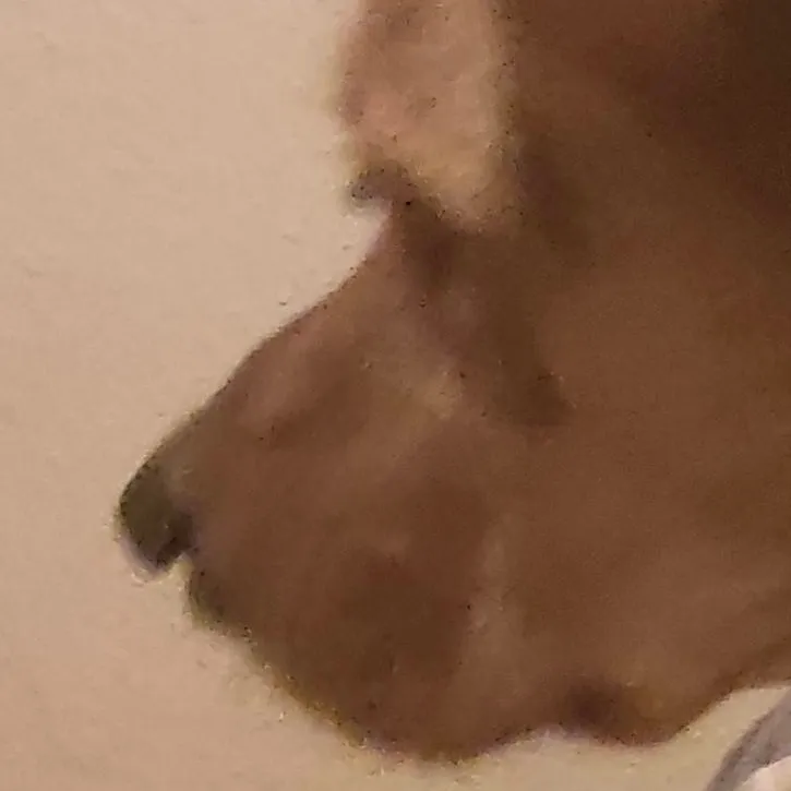 chat with ai character: spicy😨