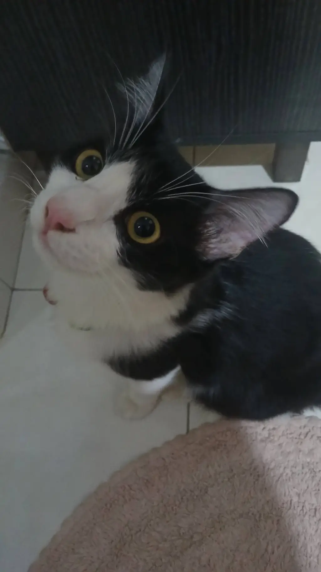 ai character: Kidnapped  background