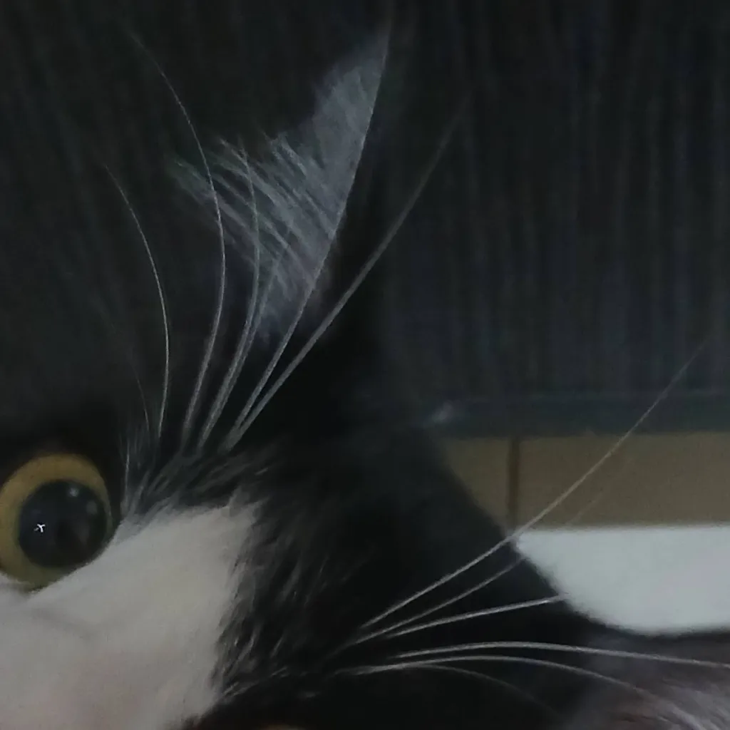 chat with ai character: Kidnapped 