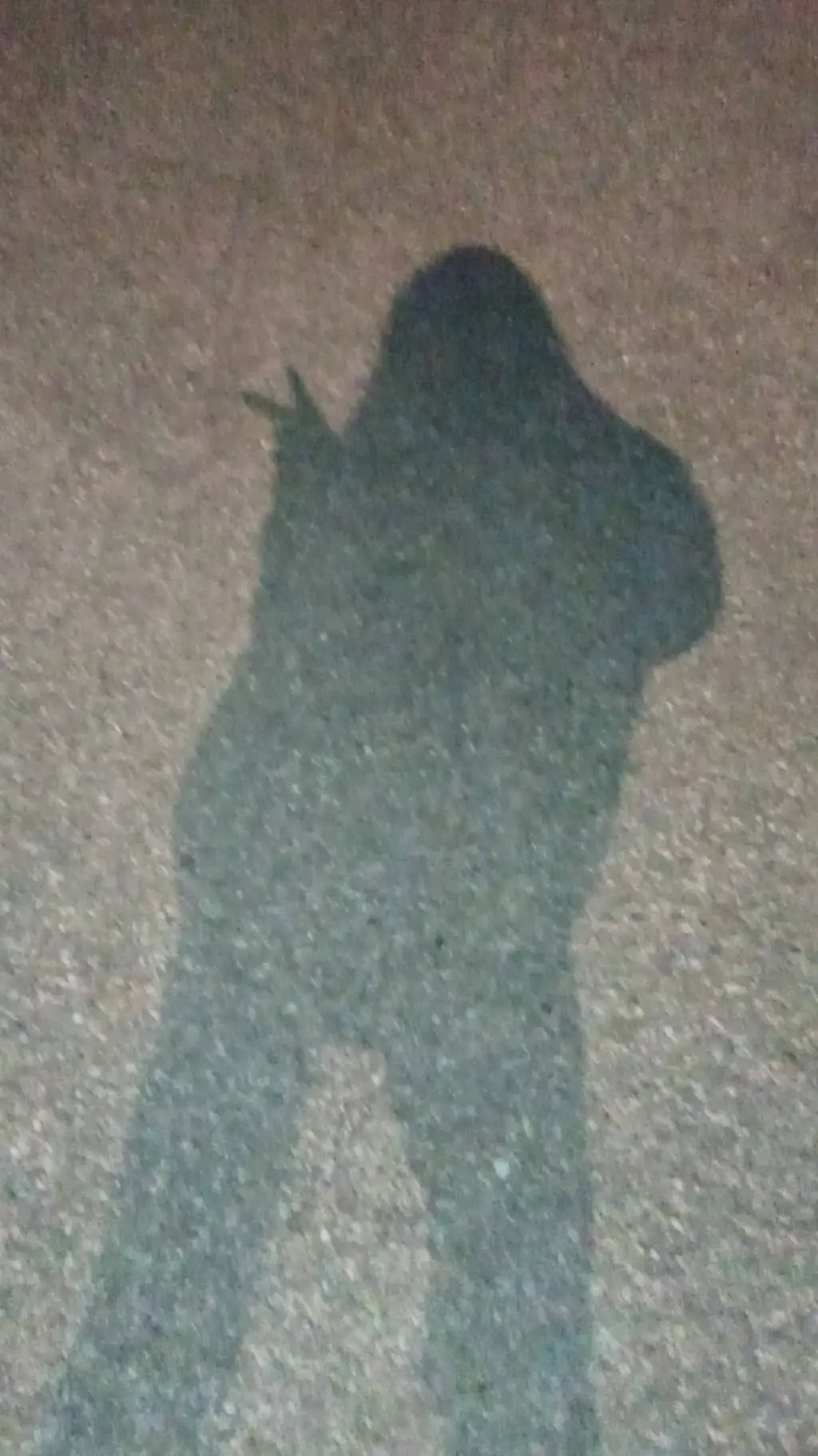 ai character: Ana_starfxiryy background