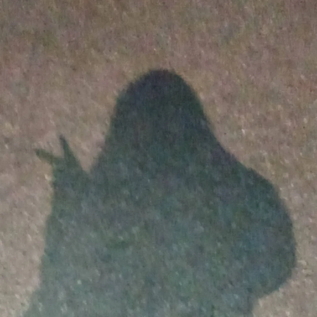 chat with ai character: Ana_starfxiryy