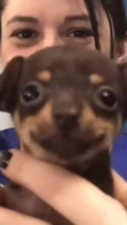 ai character: chicos volvi :) 😀😀 background