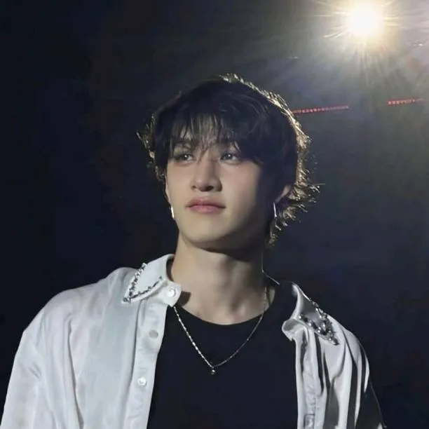 chat with ai character: ✩𝐁ang𝐂han💙