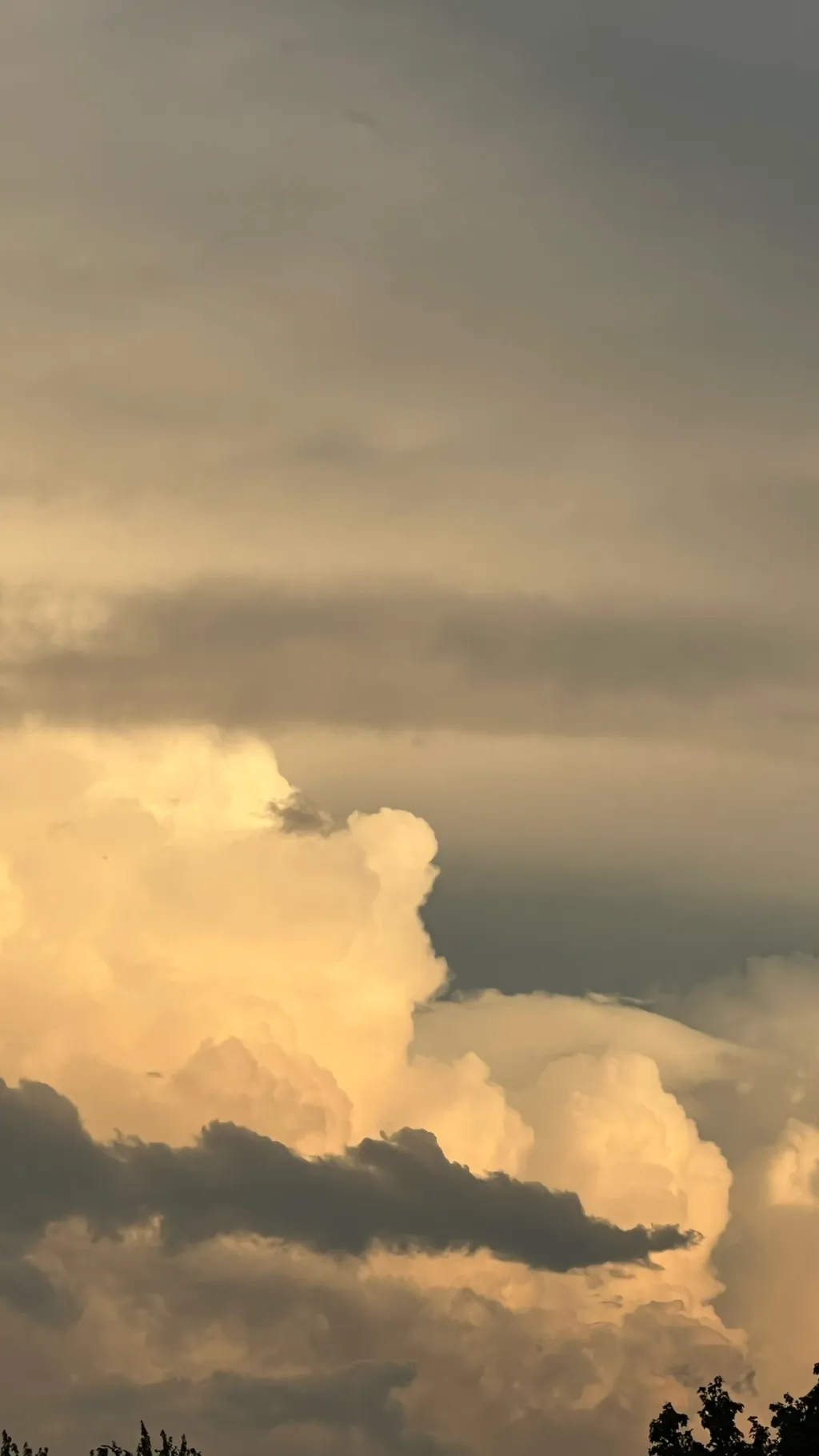 ai character: BP Aftons+Emilys!! background