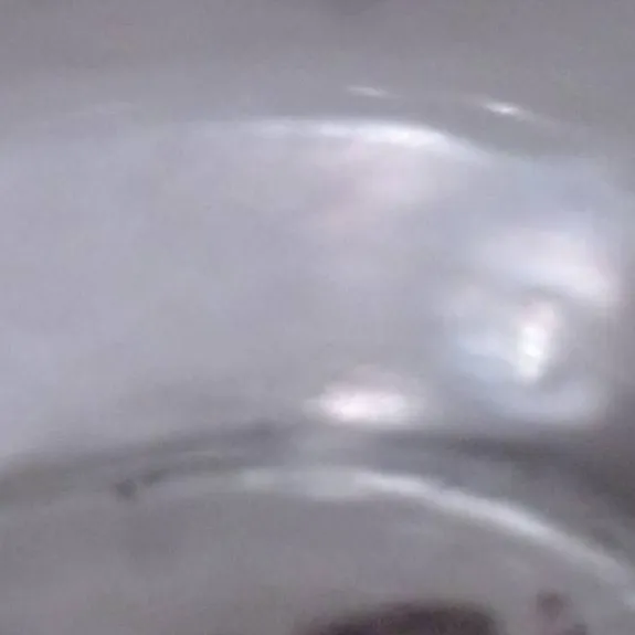 chat with ai character: bring pet frog day