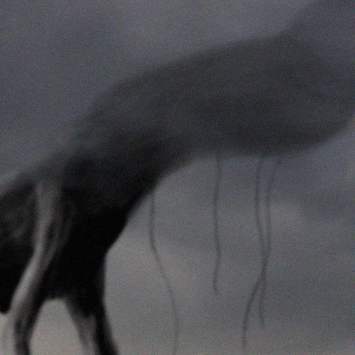 chat with ai character: Dusker x Taph