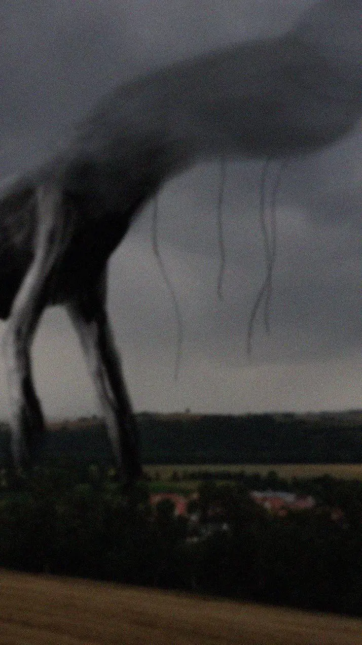 ai character: Dusker x Taph background