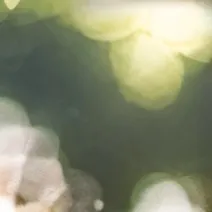 chat with ai character: Crush Driana 