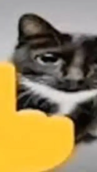 ai character: gato 🖕 background