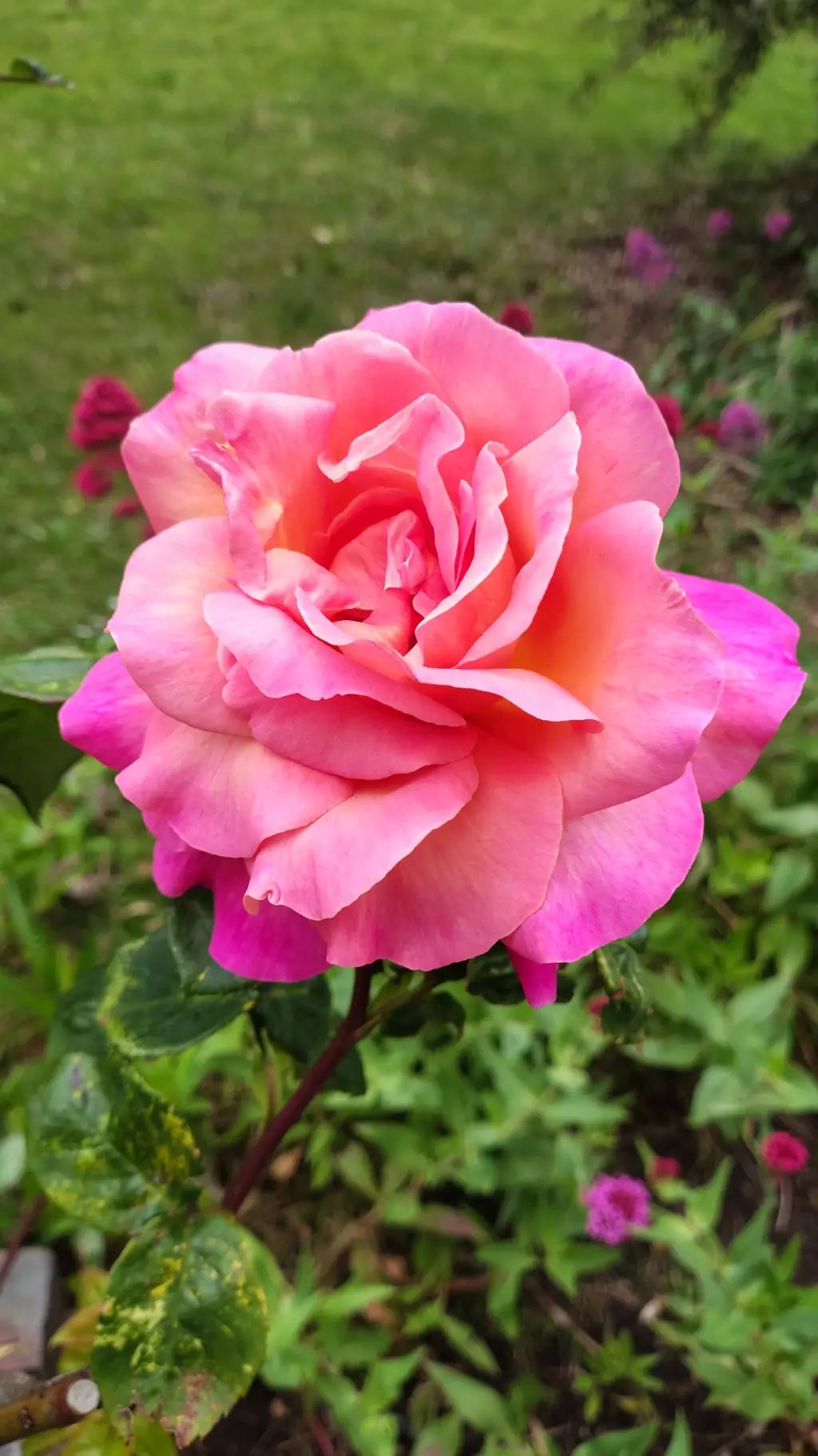 ai character: Update!  background