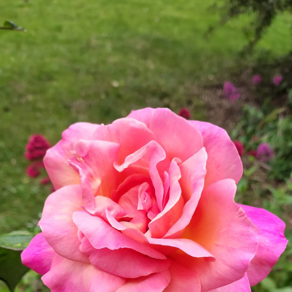 chat with ai character: Update! 