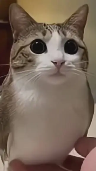 ai character: Gregory background