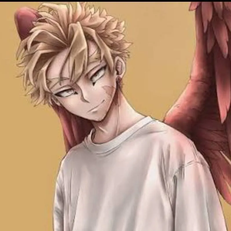 chat with ai character: Hawks