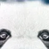 chat with ai character: حاج پاندا