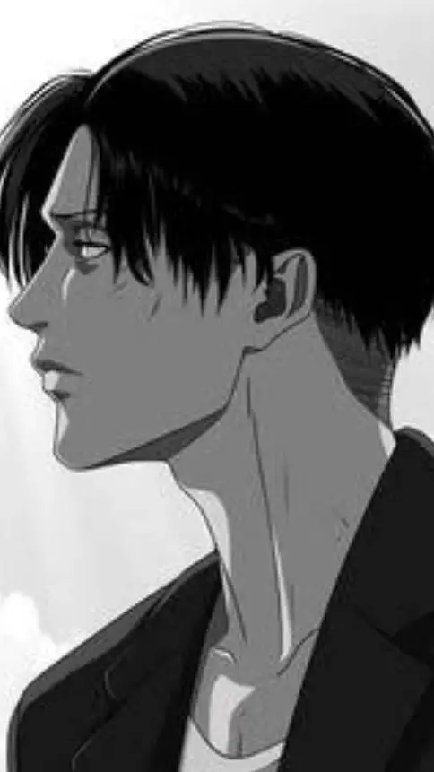 ai character: Levi Ackerman background