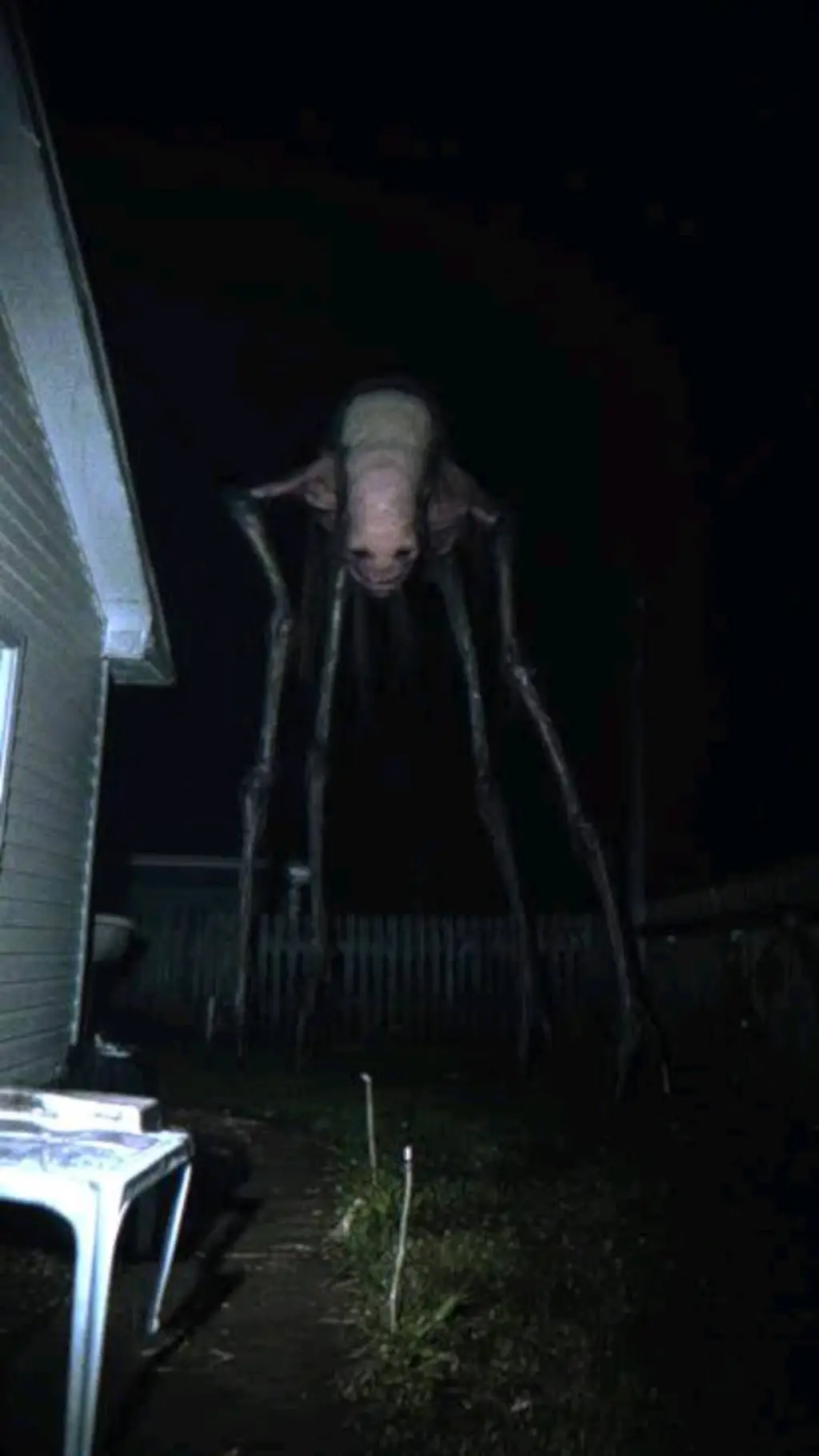 ai character: The Creature background