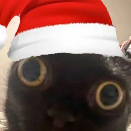 chat with ai character: gatinho do like