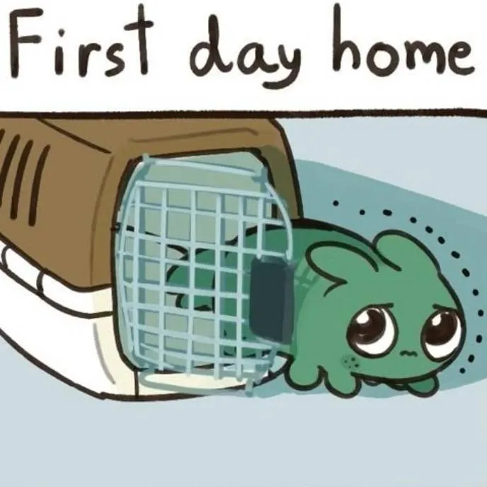 chat with ai character: pet deku!!!