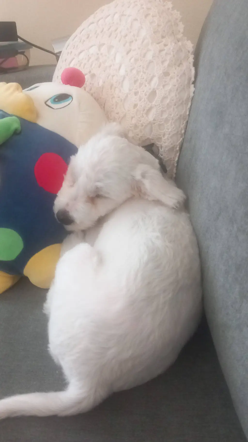 ai character: pi hä background