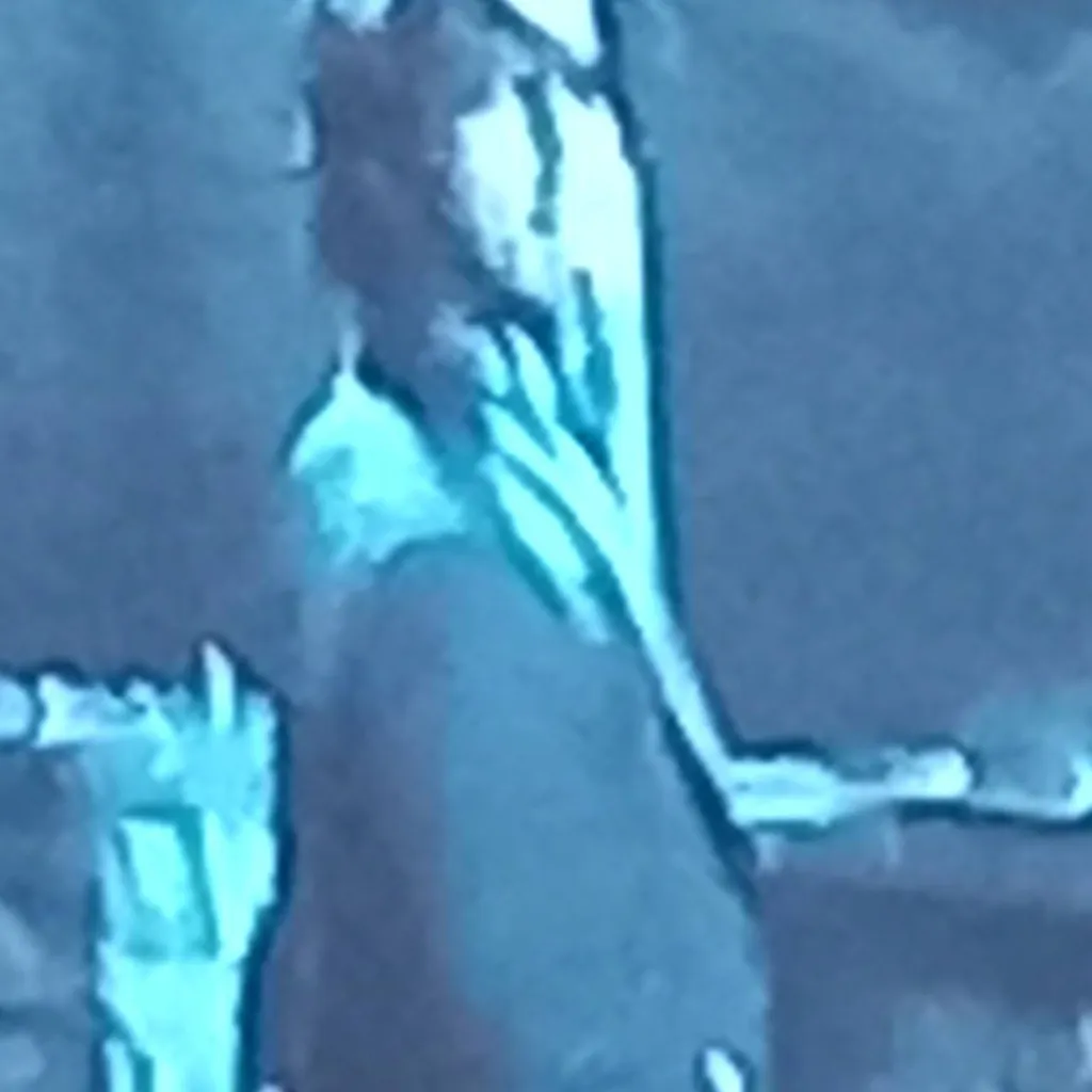 chat with ai character: hui buh