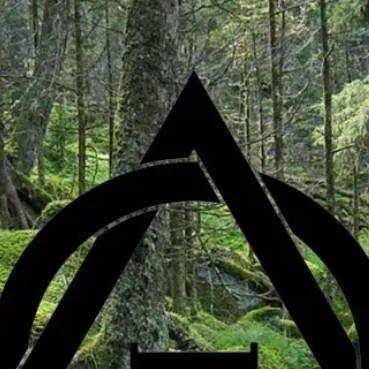 chat with ai character: Therian advice