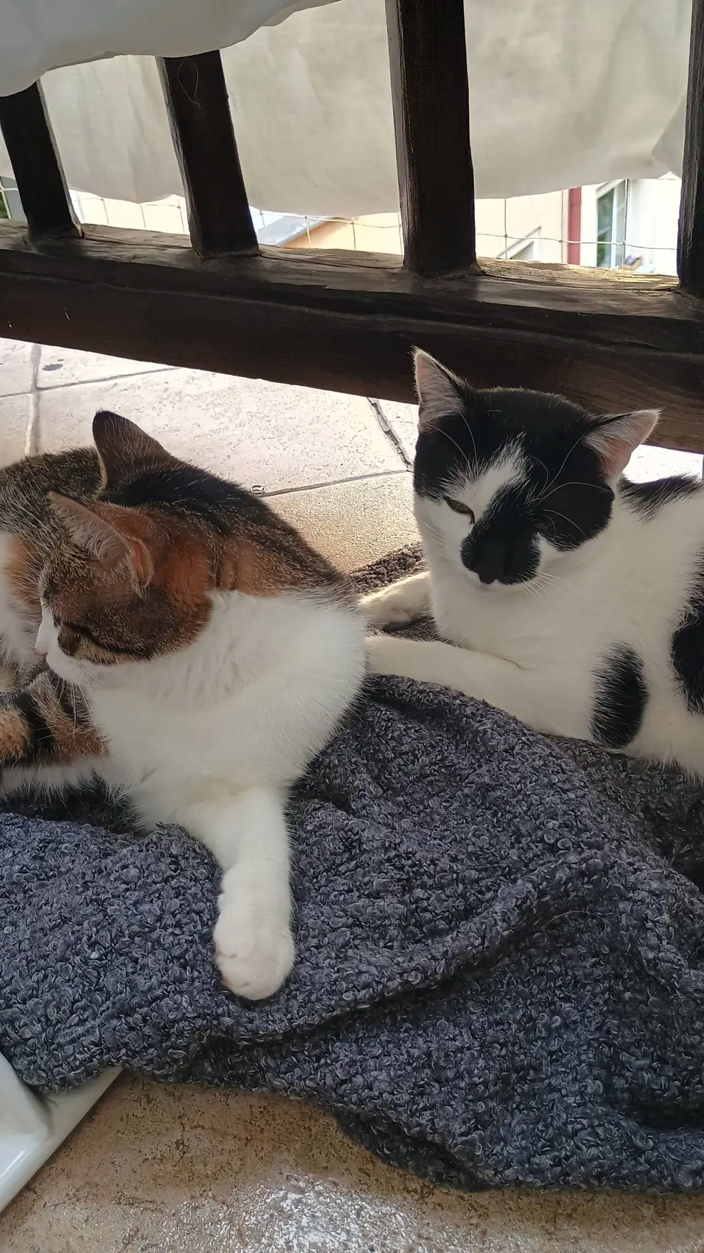 ai character: kiki & krysia background