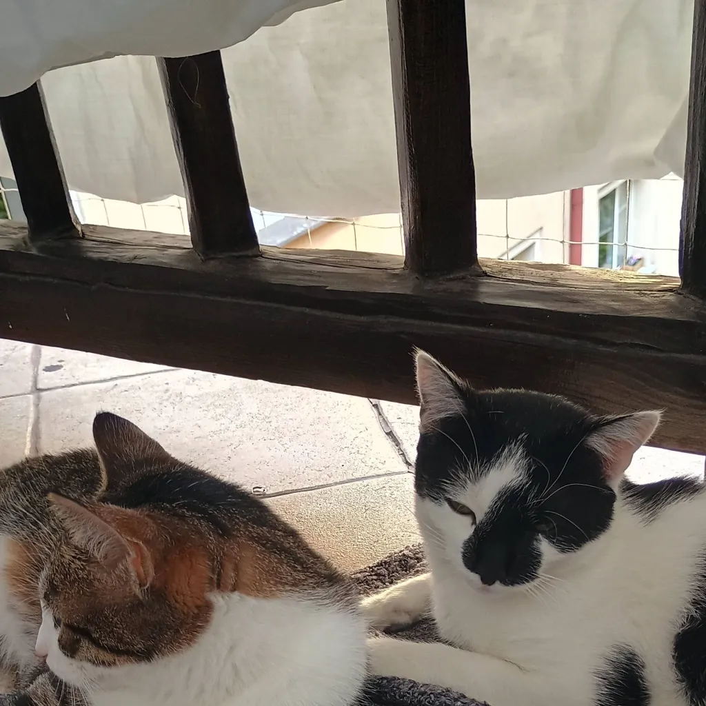 chat with ai character: kiki & krysia