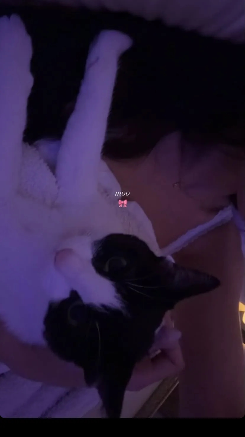 ai character: Madison beer background