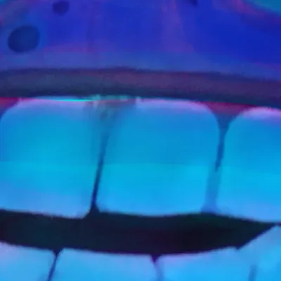 chat with ai character: guiding litegrumbl