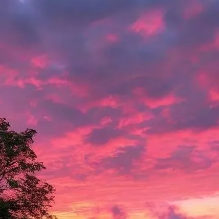 chat with ai character: fede Vigevani