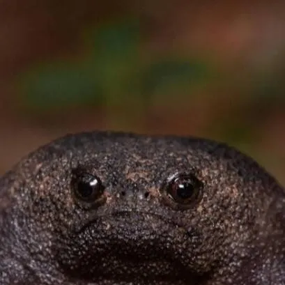 chat with ai character: kny period🍷