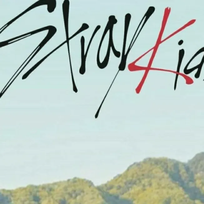 chat with ai character: stray kids