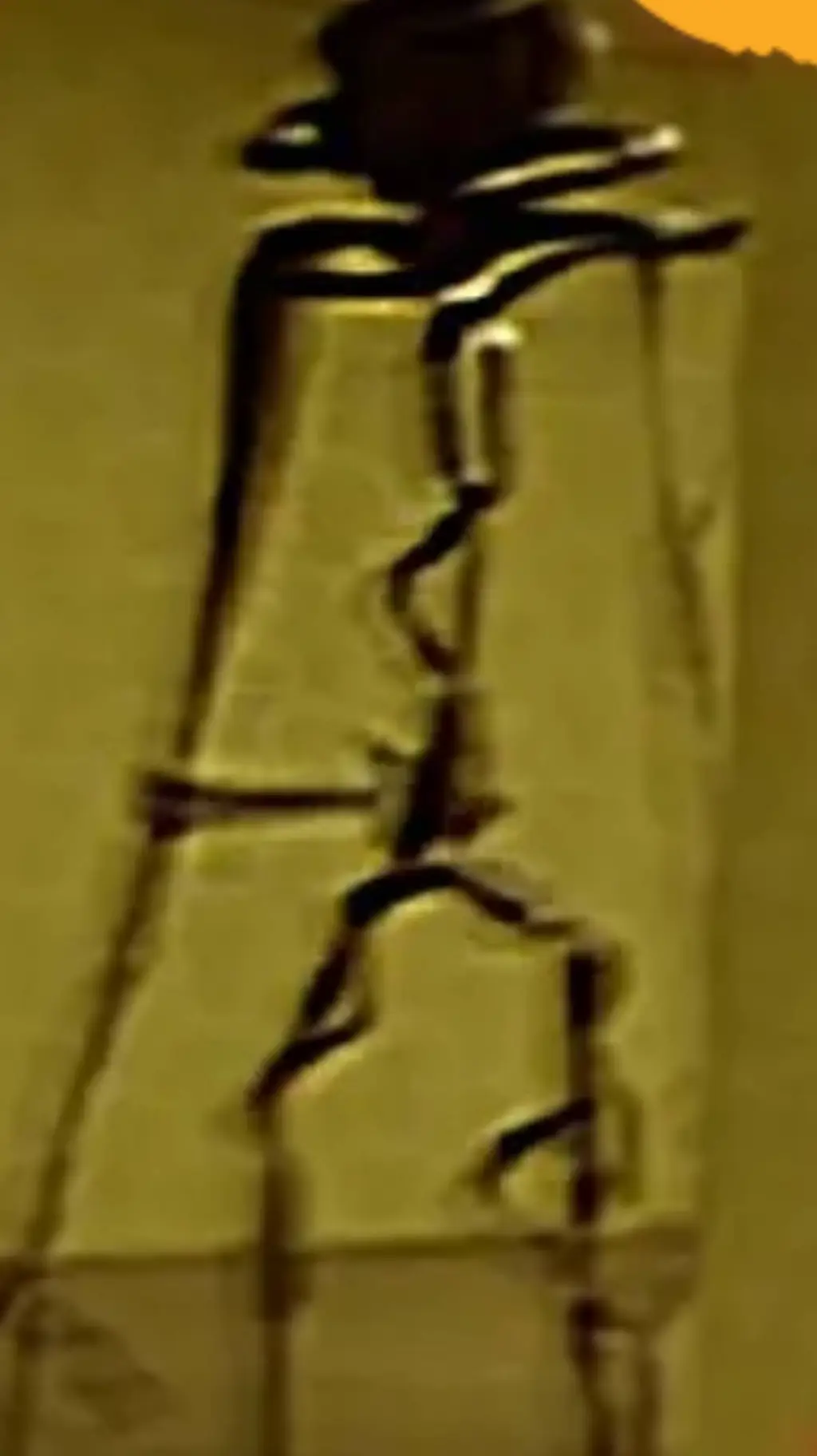 ai character: buraquinhos background