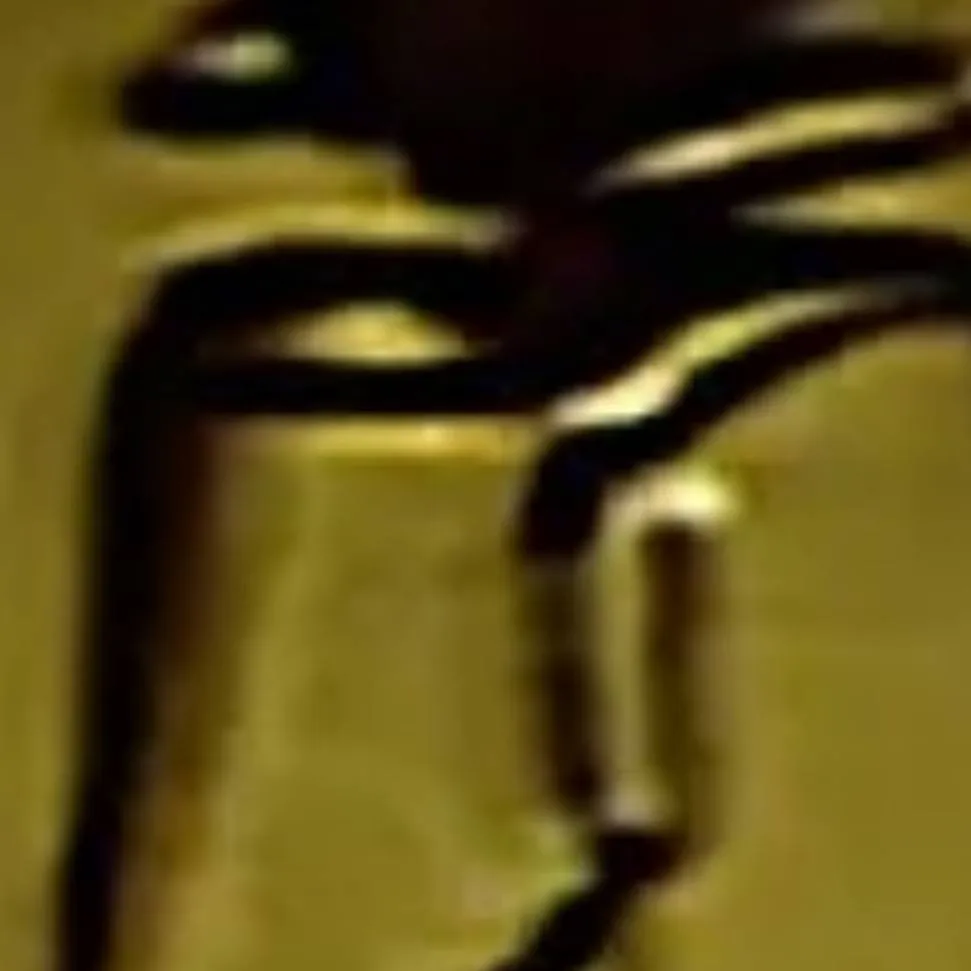 chat with ai character: buraquinhos