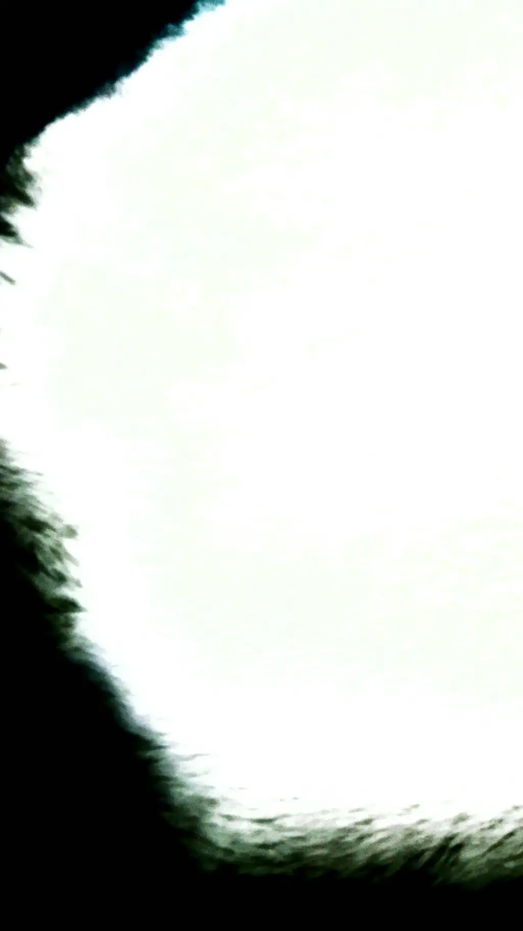 Talkie AI - Chat with GROUP CHAT