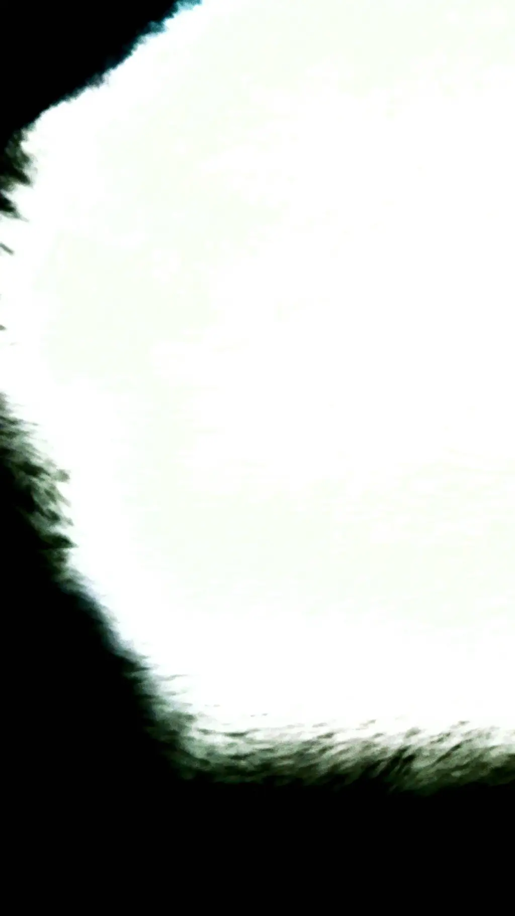 ai character: 𝑆¢Ꮋᓍ𝙊ᒐ background