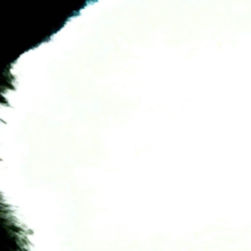 chat with ai character: 𝑆¢Ꮋᓍ𝙊ᒐ