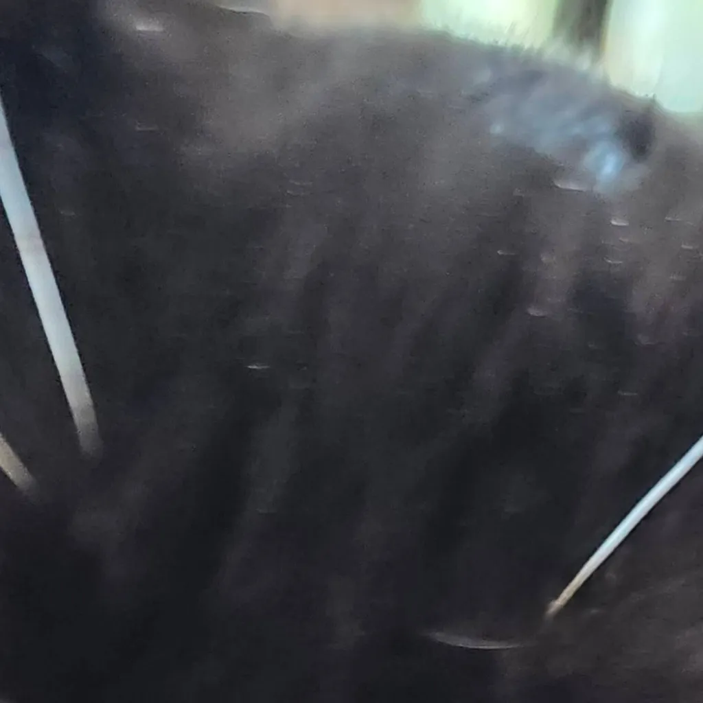 chat with ai character: Loki