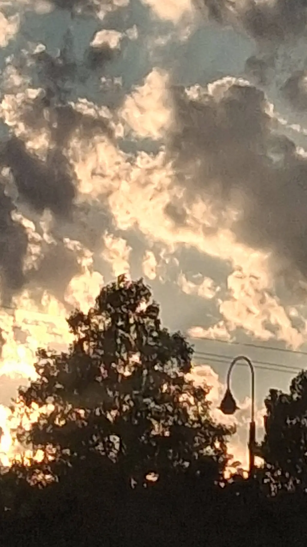 ai character: panna background