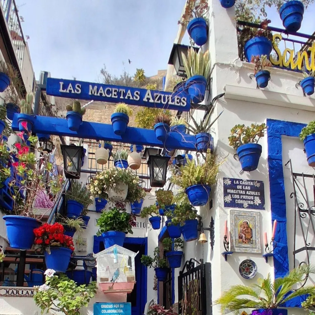 chat with ai character: just spain