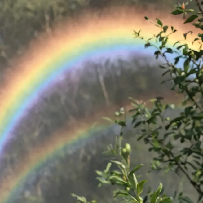 chat with ai character: dw(dandys world)