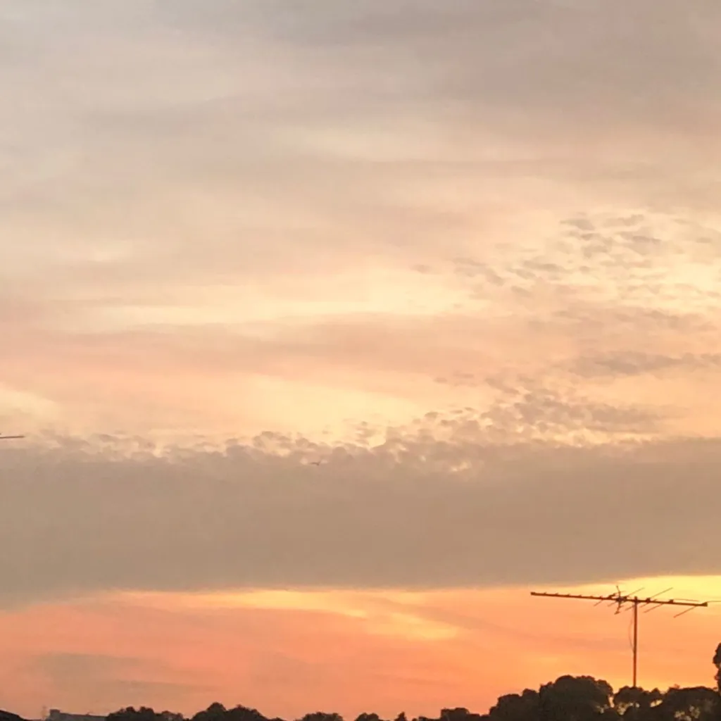 chat with ai character: Giyushino 