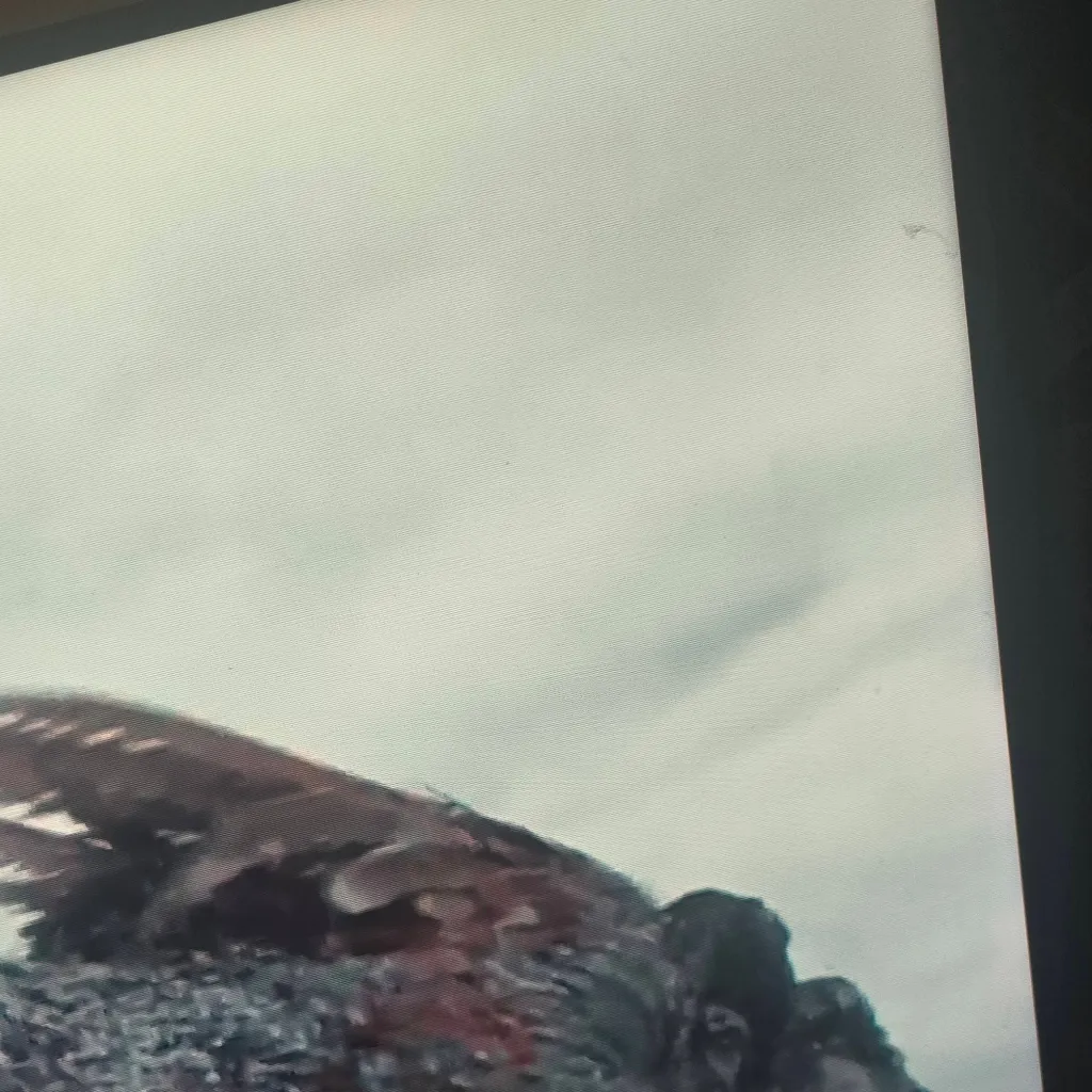 chat with ai character: pyroraptor flare