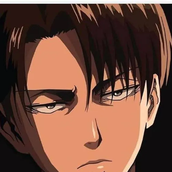 chat with ai character: Levi Ackerman 