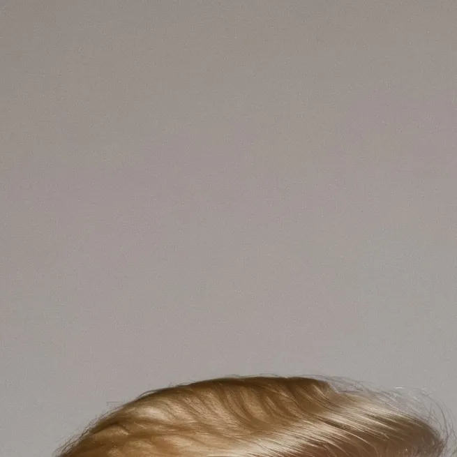 chat with ai character: donald trump